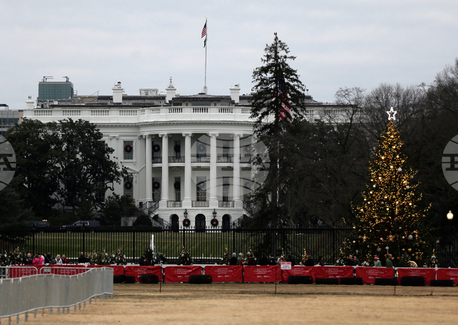 Washington Christmas Tree