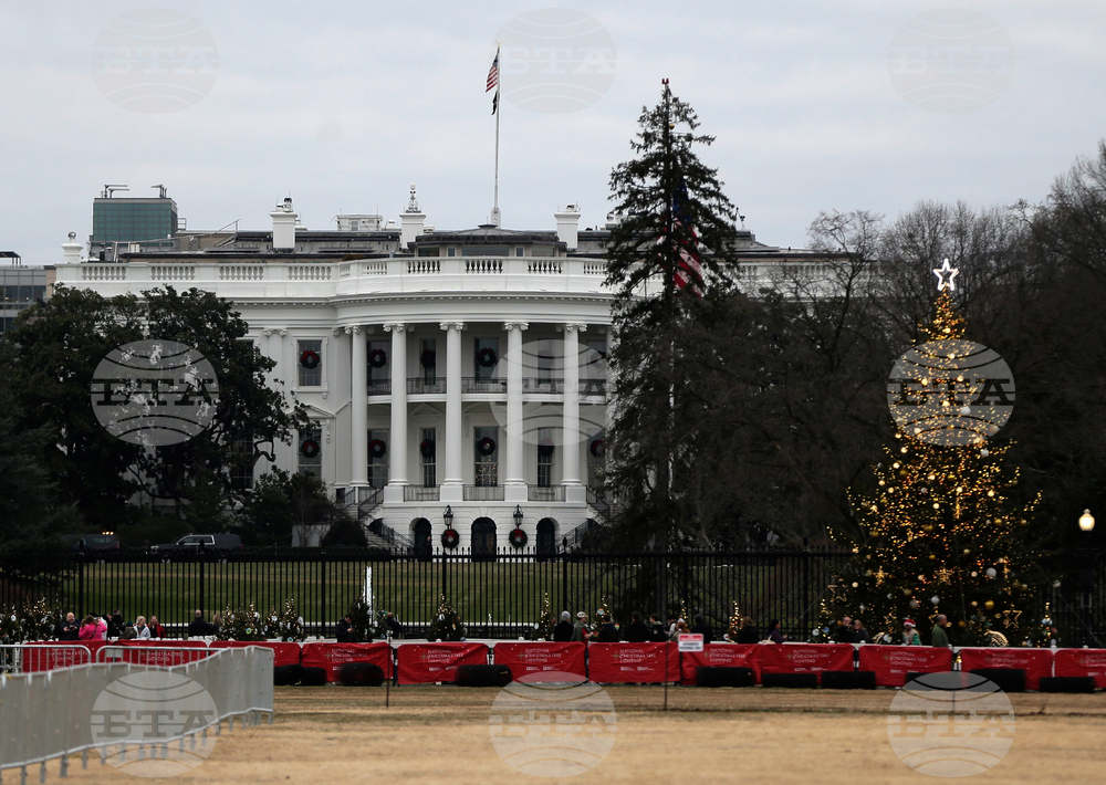 Washington Christmas Tree
