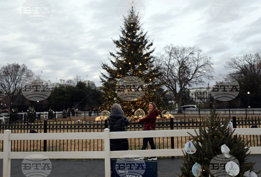 Washington Christmas Tree