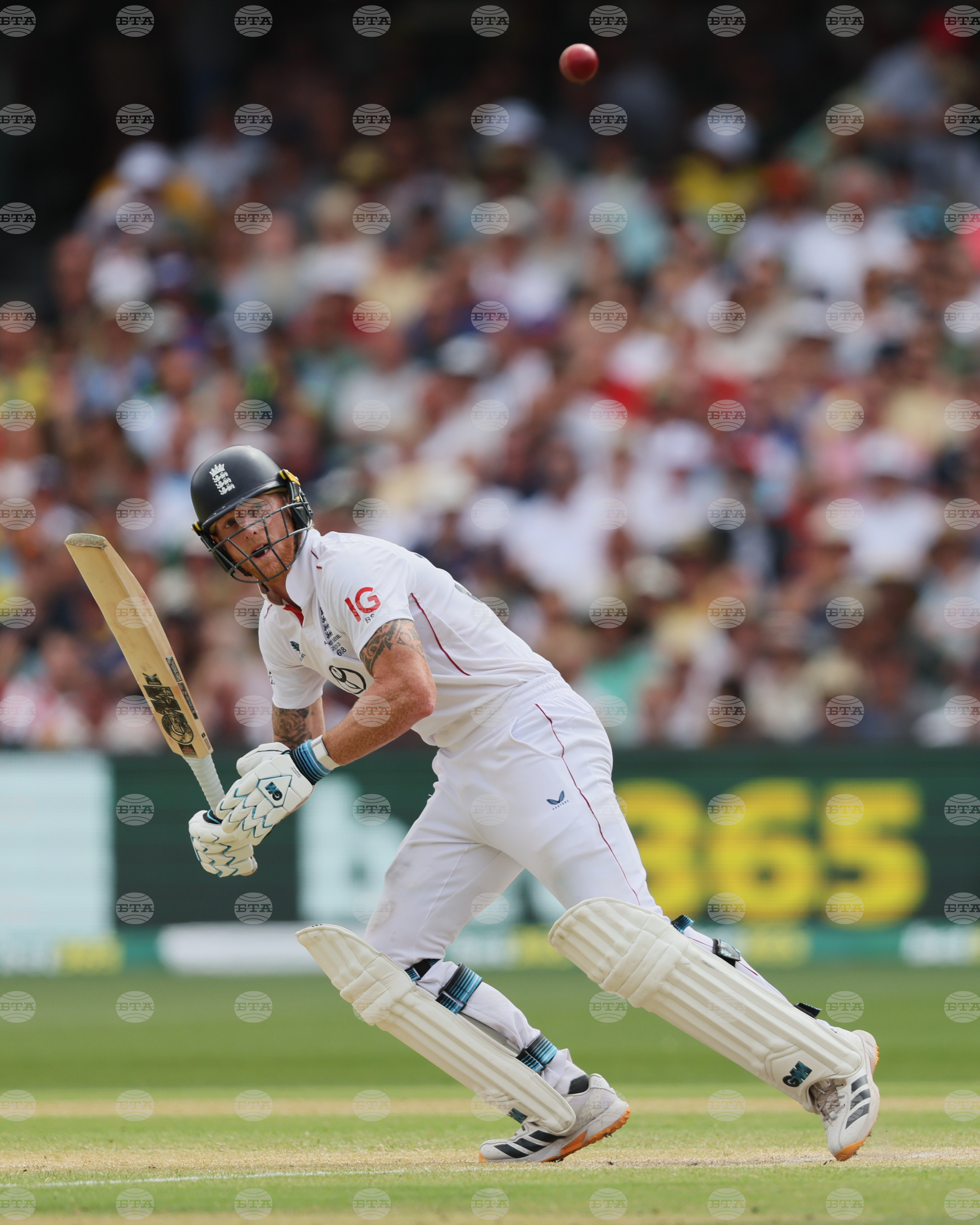 Australia England Cricket