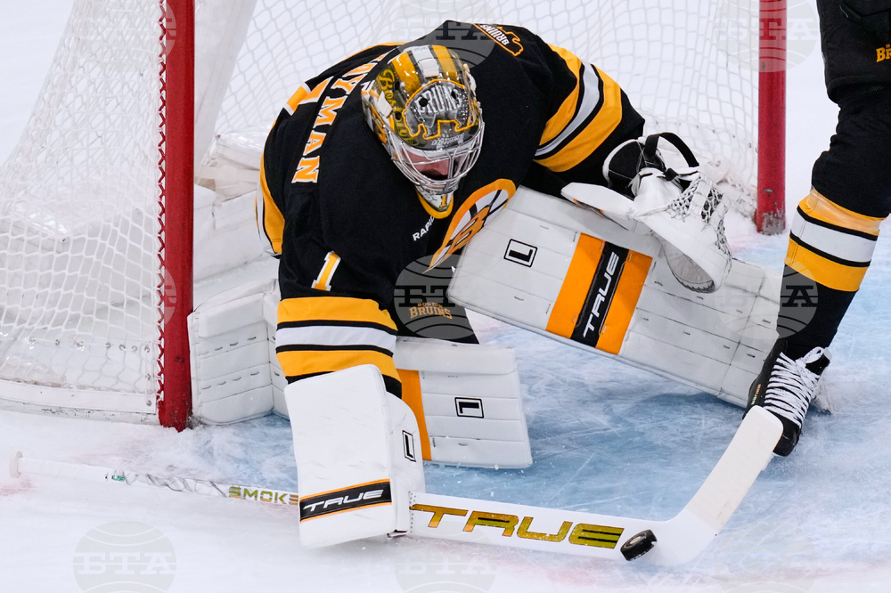 Oilers Bruins Hockey