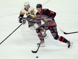 Penguins Senators Hockey