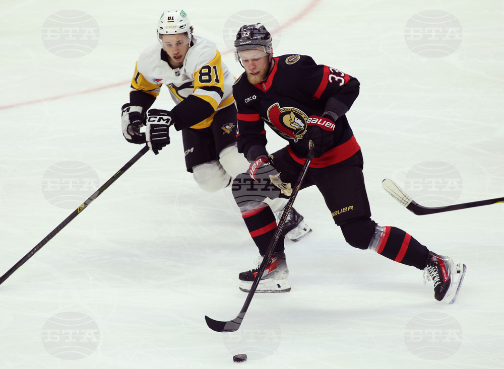 Penguins Senators Hockey