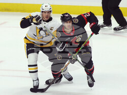 Penguins Senators Hockey