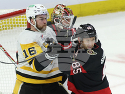 Penguins Senators Hockey