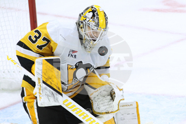 Penguins Senators Hockey