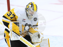 Penguins Senators Hockey