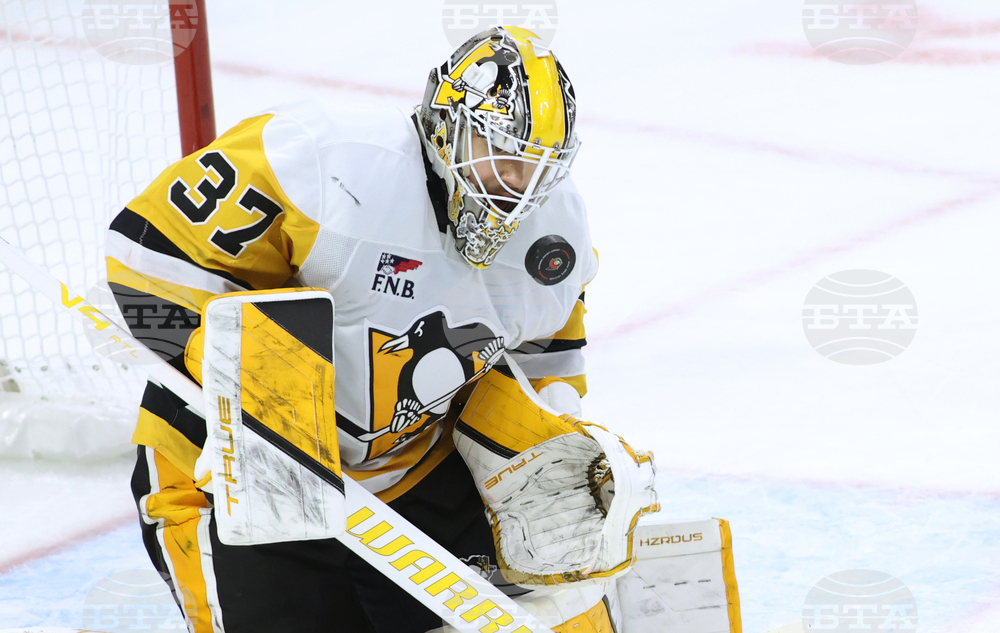 Penguins Senators Hockey