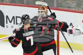 Penguins Senators Hockey