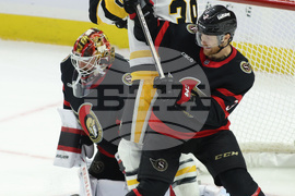 Penguins Senators Hockey