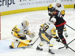 Penguins Senators Hockey