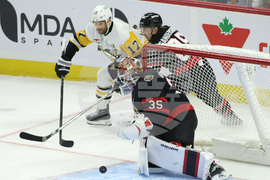 Penguins Senators Hockey