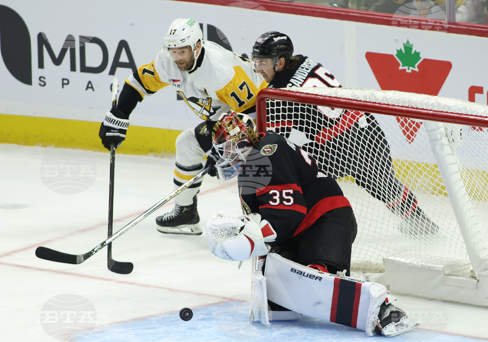 Penguins Senators Hockey