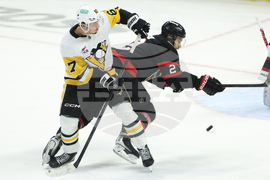 Penguins Senators Hockey