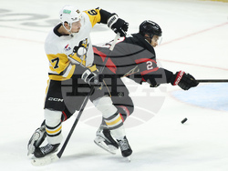 Penguins Senators Hockey