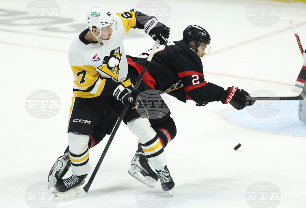 Penguins Senators Hockey