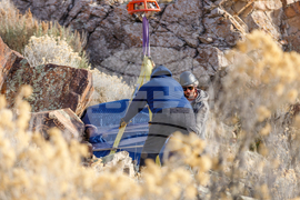 Petroglyphs Returned Utah