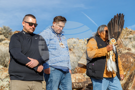 Petroglyphs Returned Utah