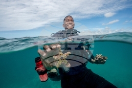 Pictures of the Week Latin America and Caribbean Photo Gallery