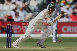 Australia England Cricket