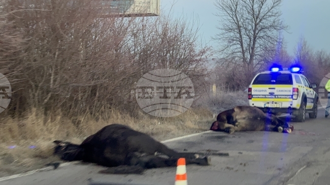 Движението по пътя Самоков - София е затруднено