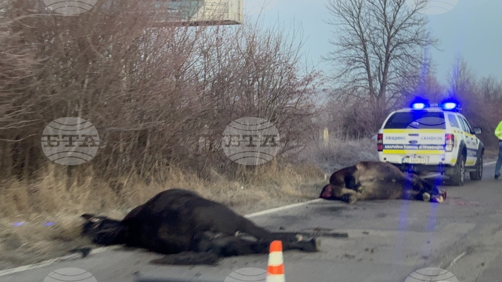 Движението по пътя Самоков - София е затруднено