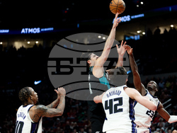 Kings Trail Blazers Basketball