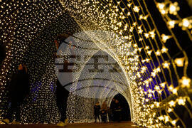 Holiday Lights Photo Gallery