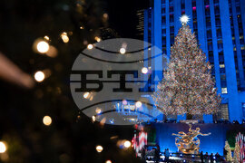 Holiday Lights Photo Gallery