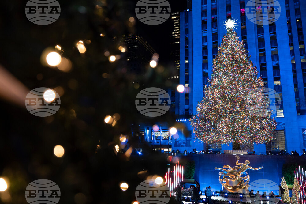 Holiday Lights Photo Gallery