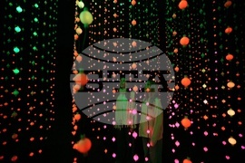 Holiday Lights Photo Gallery