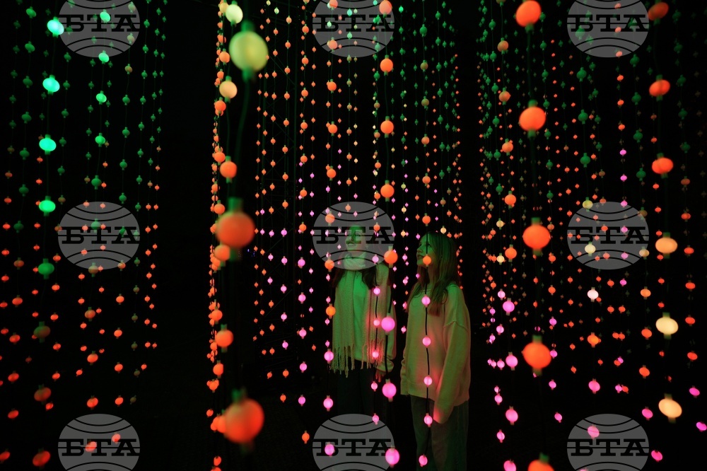 Holiday Lights Photo Gallery