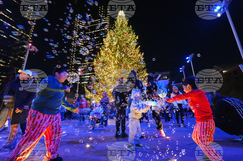 Holiday Lights Photo Gallery