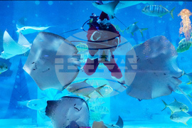 South Korea Christmas