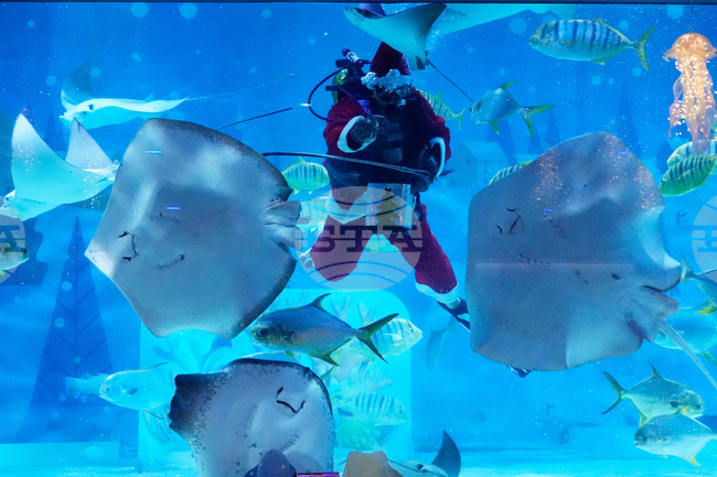 South Korea Christmas