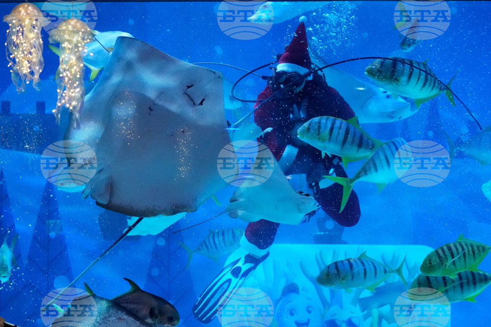 South Korea Christmas