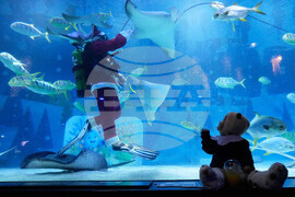 South Korea Christmas