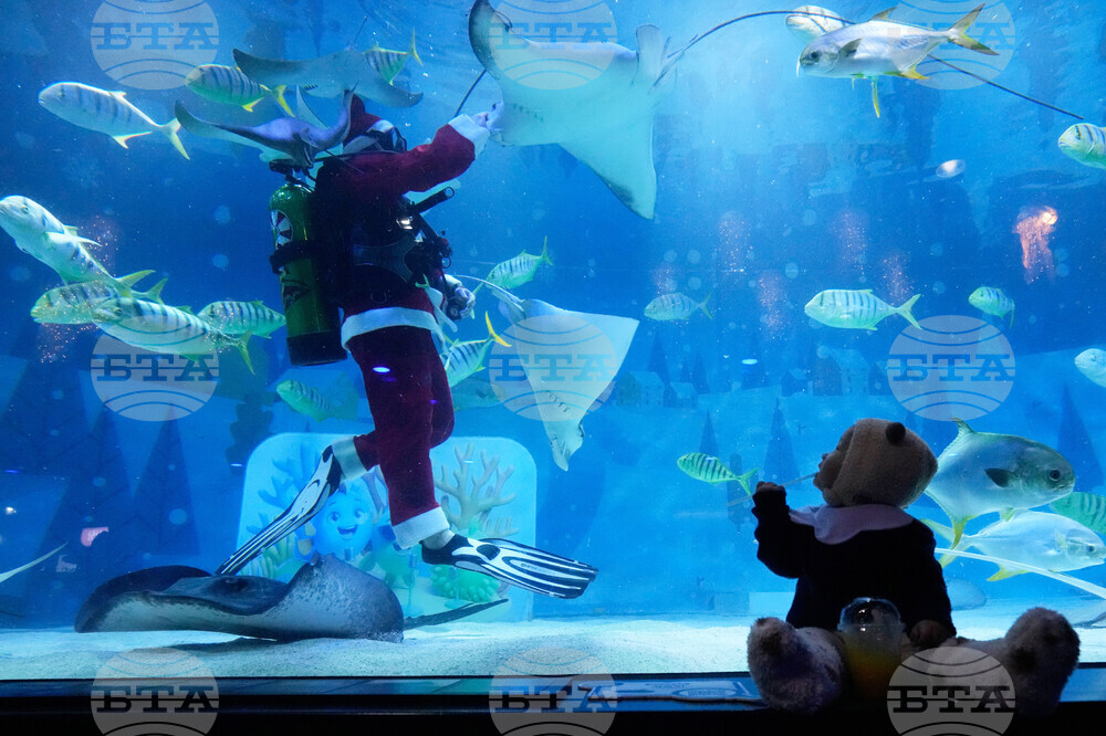 South Korea Christmas