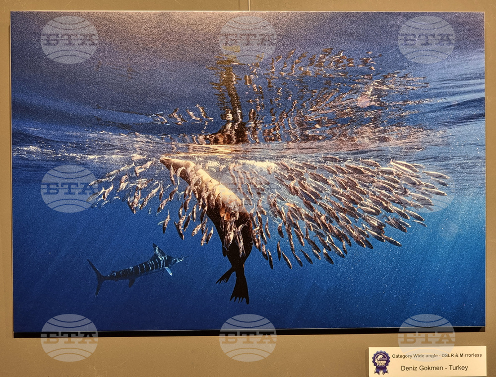 Варна - Четвърти международен салон за подводна фотография „Протей“