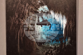 Варна - Четвърти международен салон за подводна фотография „Протей“