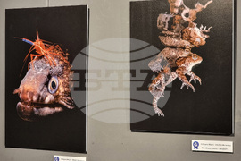 Варна - Четвърти международен салон за подводна фотография „Протей“