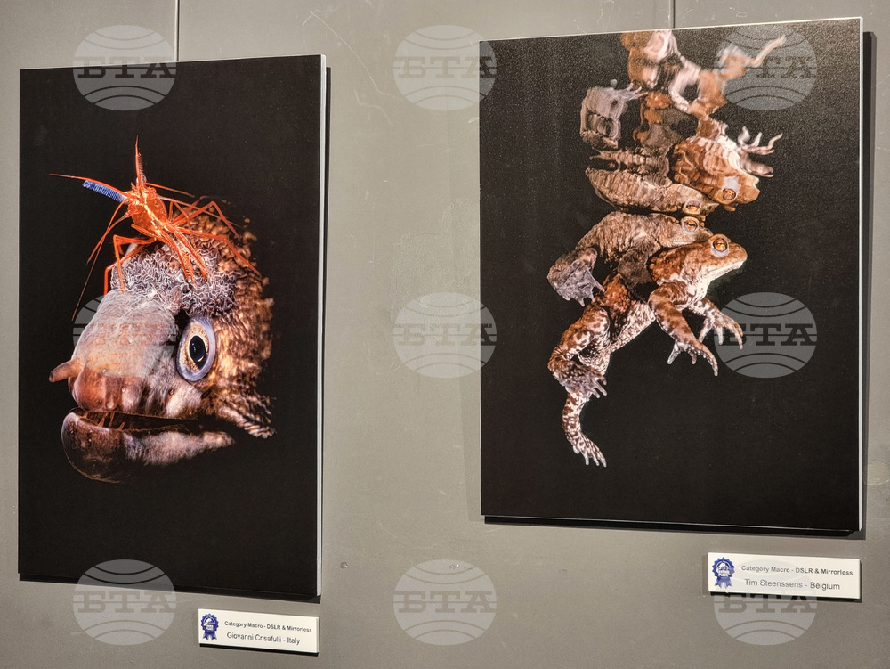 Варна - Четвърти международен салон за подводна фотография „Протей“