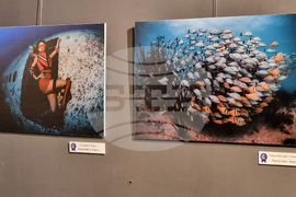 Варна - Четвърти международен салон за подводна фотография „Протей“