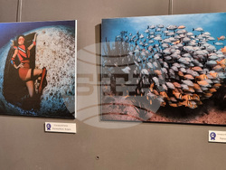 Варна - Четвърти международен салон за подводна фотография „Протей“