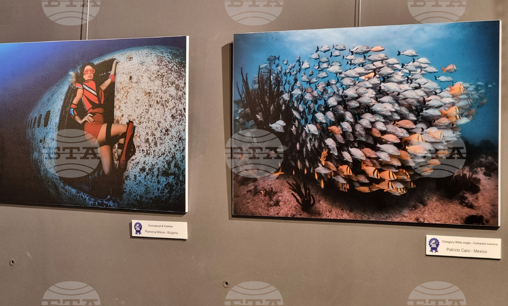 Варна - Четвърти международен салон за подводна фотография „Протей“