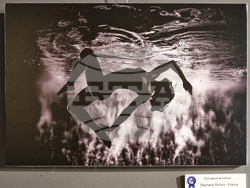 Варна - Четвърти международен салон за подводна фотография „Протей“