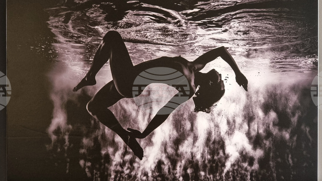 Във Варна показват отличените творби от Четвъртия международен салон за подводна фотография „Протей“