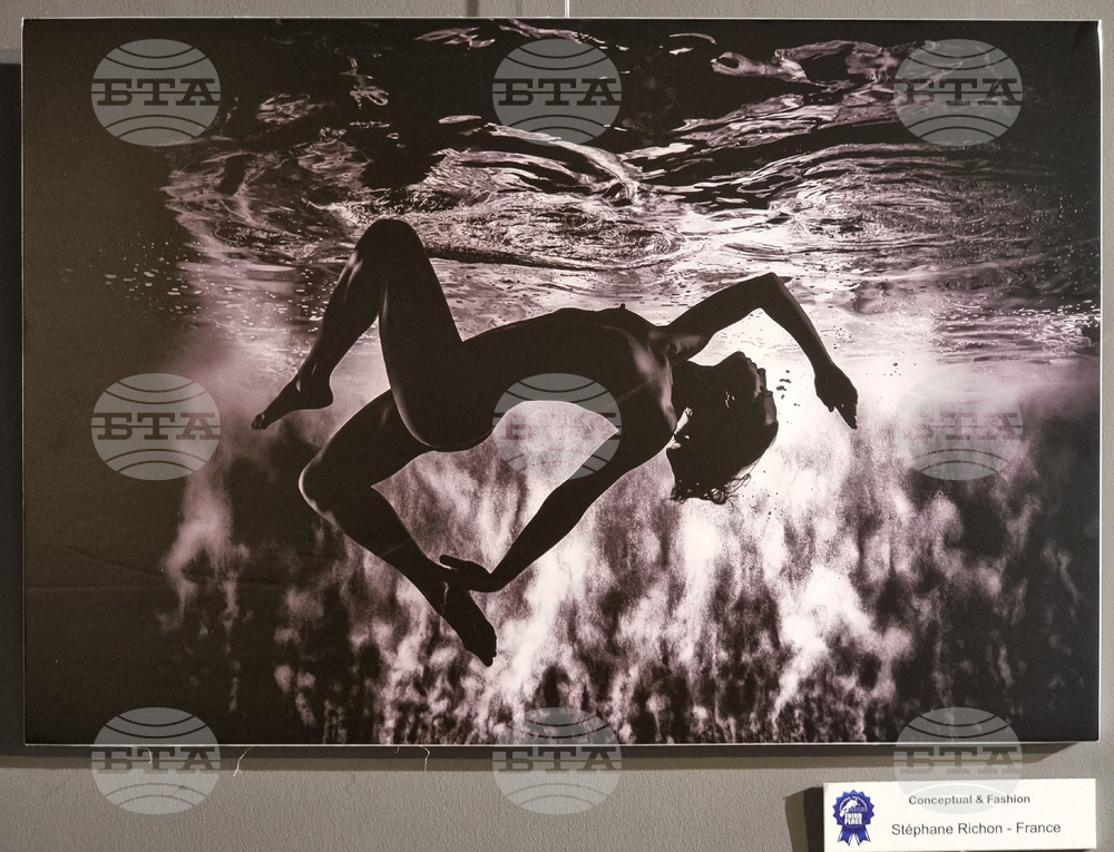 Във Варна показват отличените творби от Четвъртия международен салон за подводна фотография „Протей“