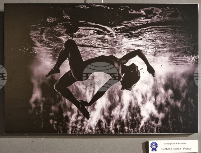 Във Варна показват отличените творби от Четвъртия международен салон за подводна фотография „Протей“