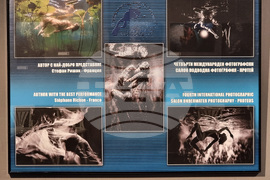 Варна - Четвърти международен салон за подводна фотография „Протей“